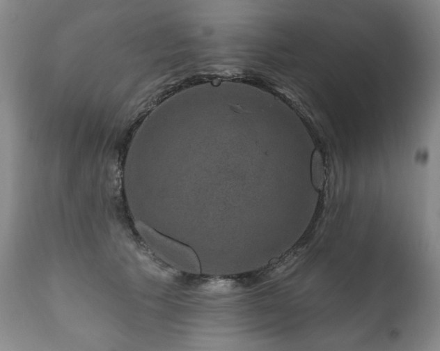 X0000111160609200906301402