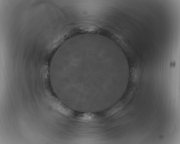 X0000111160612200906301402