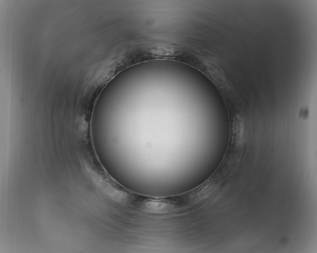X0000111160614200906301402