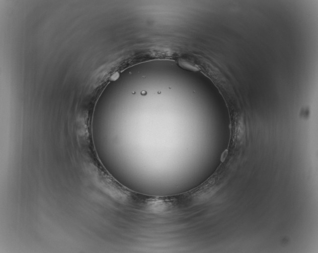 X0000111160616200906301402