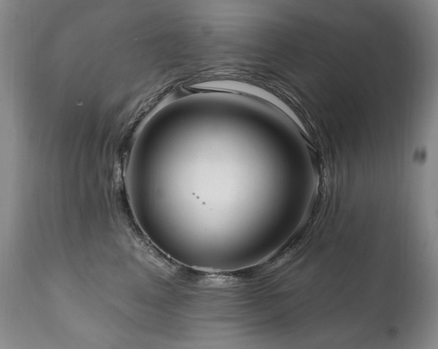 X0000111160617200906301402