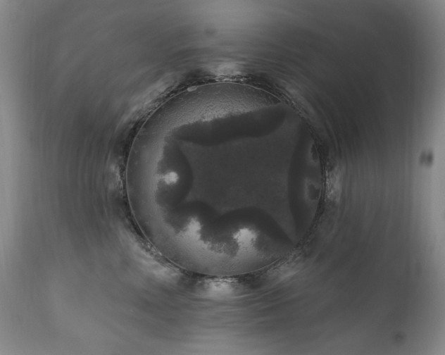 X0000111160618200906301402