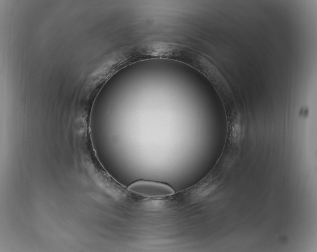 X0000111160620200906301402