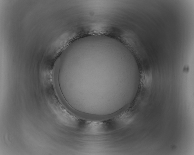 X0000111160621200906301402