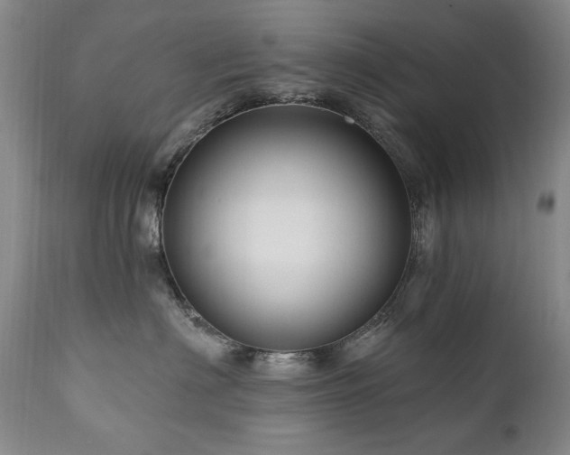 X0000111160622200906301402