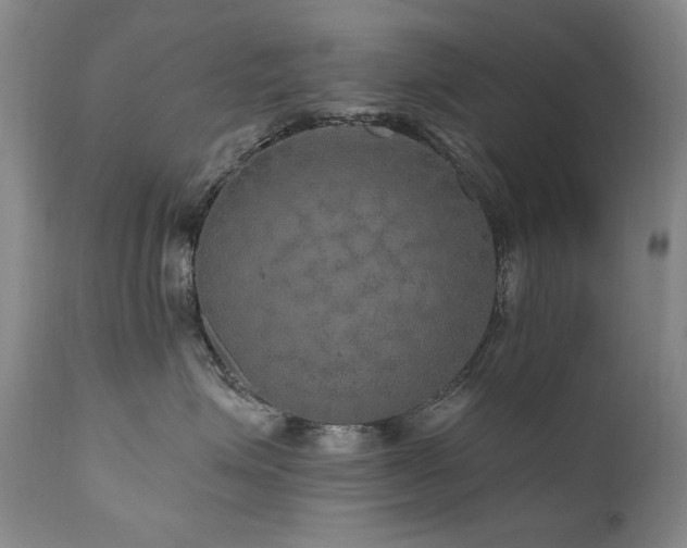 X0000111160623200906301402