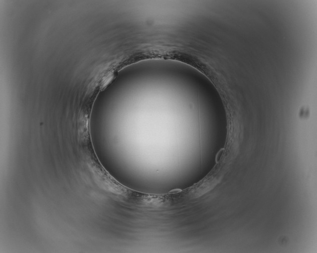 X0000111160624200906301402
