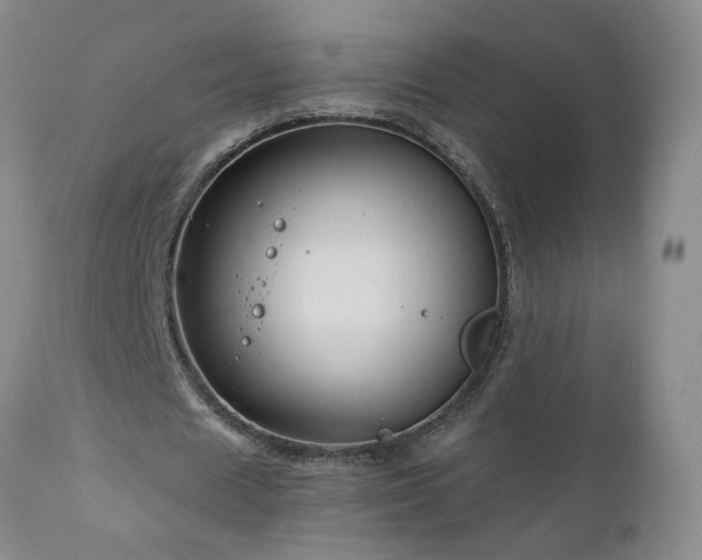 X0000111160625200906301401