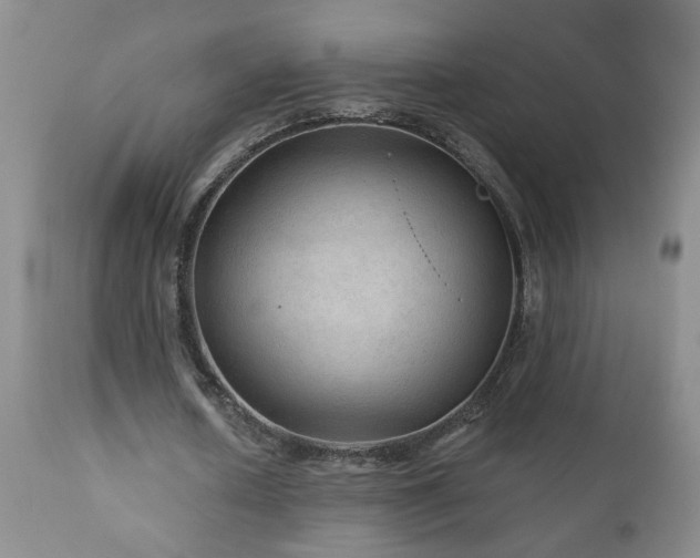 X0000111160626200906301401
