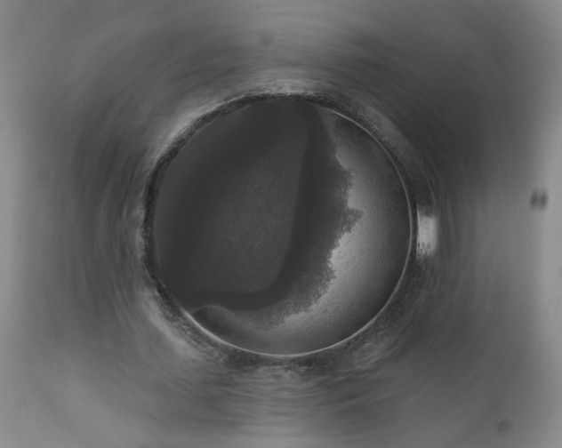 X0000111160627200906301401