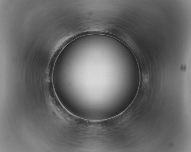 X0000111160628200906301401