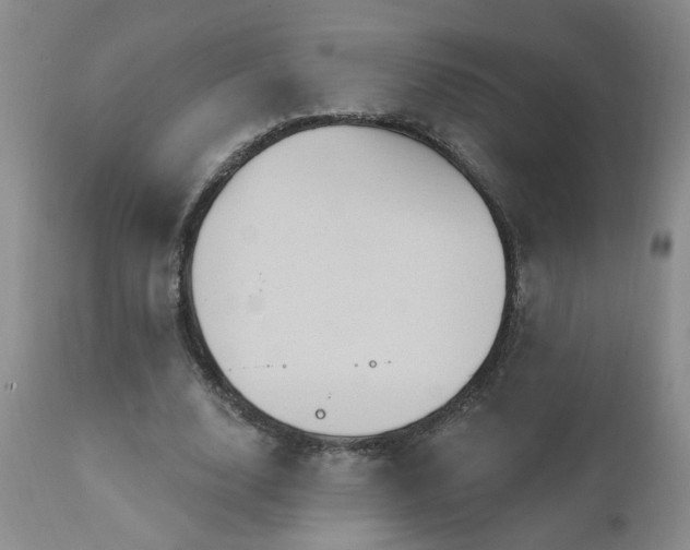 X0000111160632200906301401