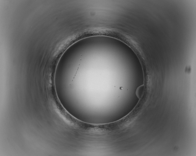 X0000111160633200906301401