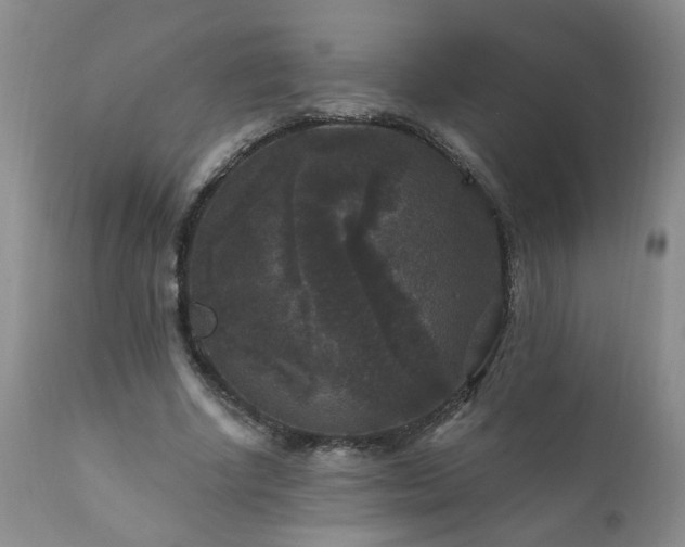 X0000111160634200906301401