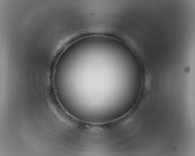 X0000111160636200906301401