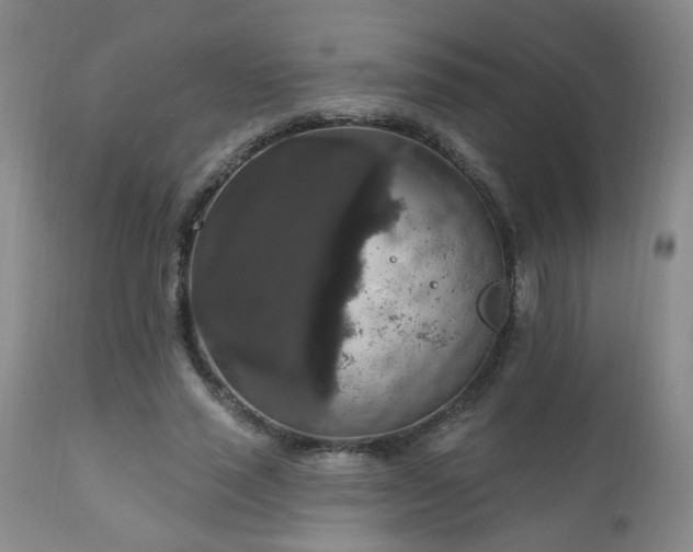 X0000111160637200906301401