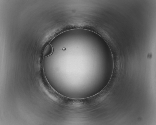 X0000111160638200906301401