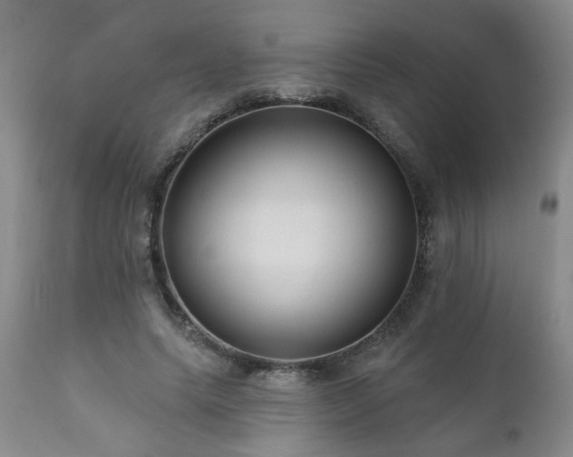 X0000111160639200906301401
