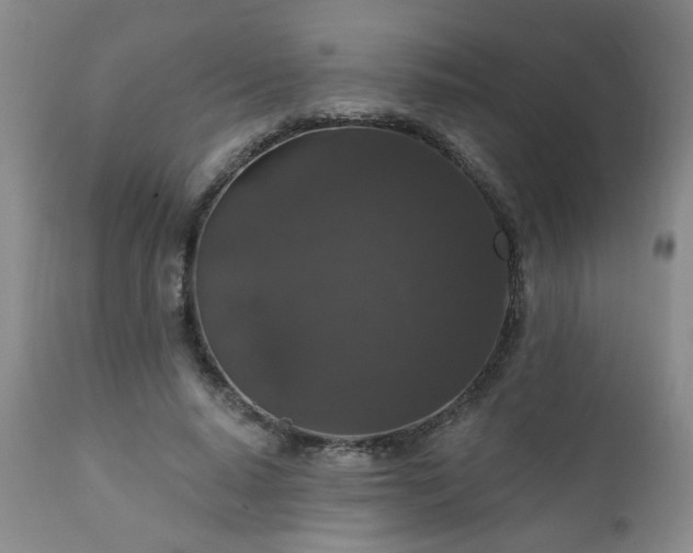 X0000111160640200906301401