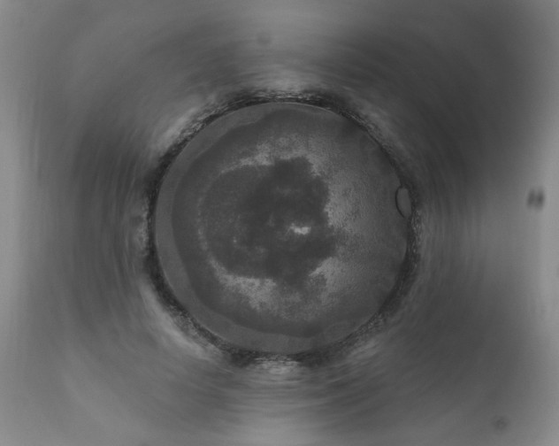 X0000111160642200906301401