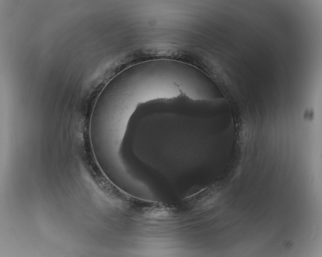 X0000111160643200906301401