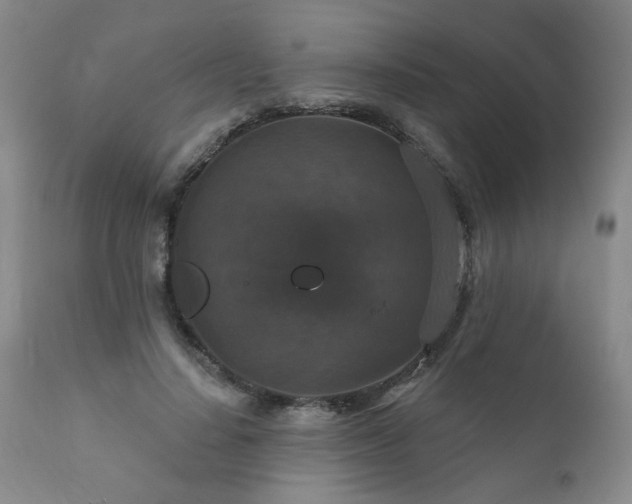 X0000111160644200906301401