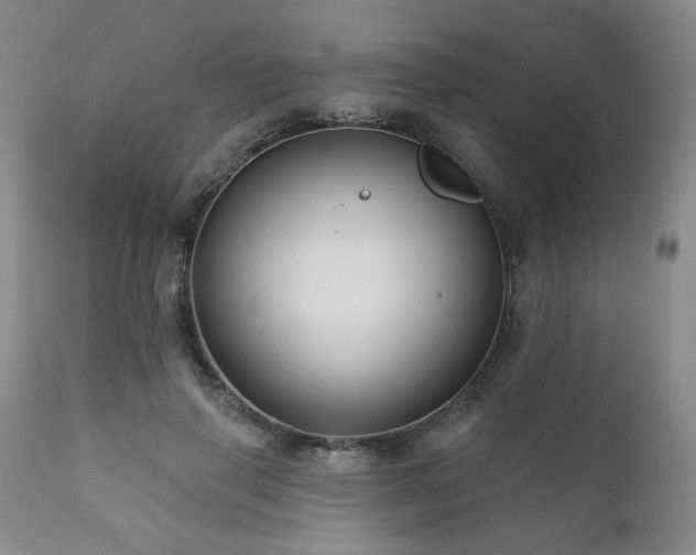 X0000111160645200906301401