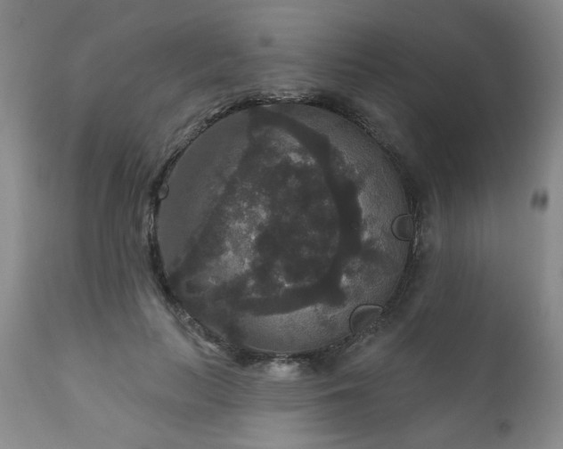 X0000111160647200906301401