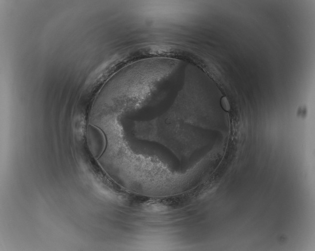 X0000111160648200906301401