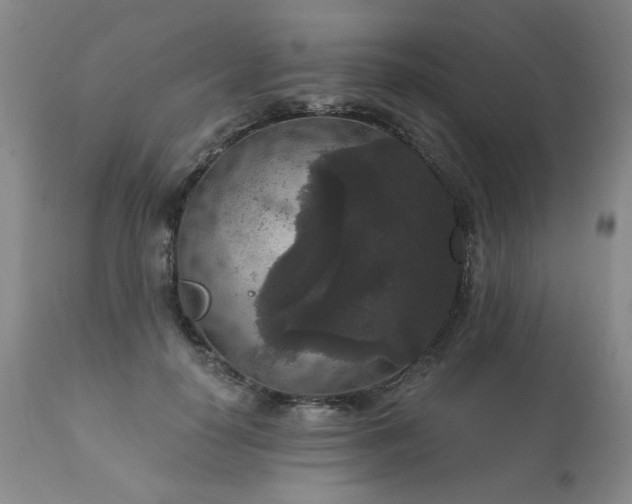X0000111160650200906301401