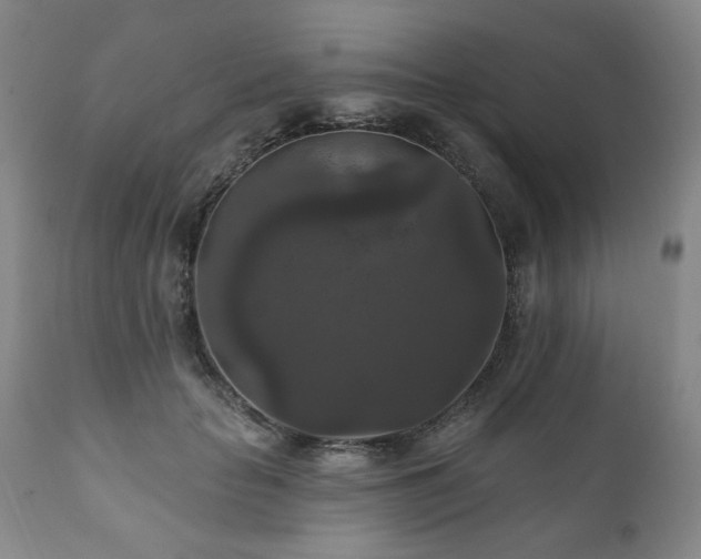 X0000111160653200906301401