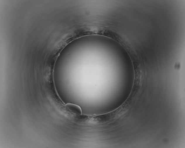 X0000111160656200906301401