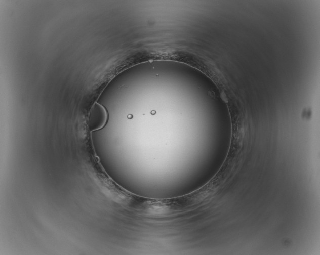 X0000111160658200906301401