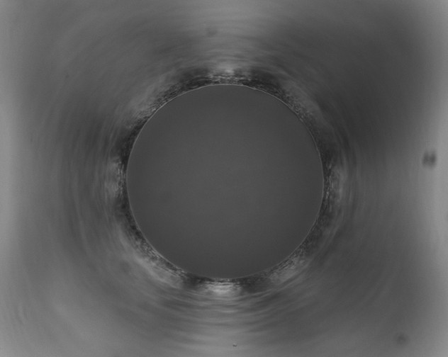 X0000111160659200906301401