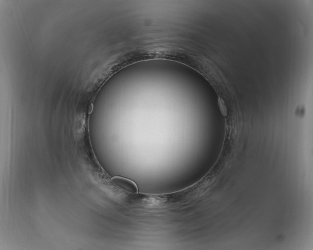 X0000111160660200906301401