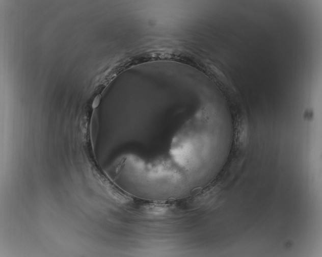 X0000111160661200906301401