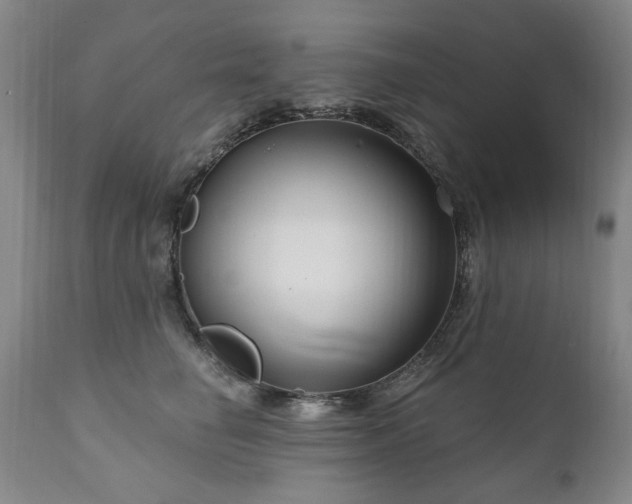 X0000111160662200906301401