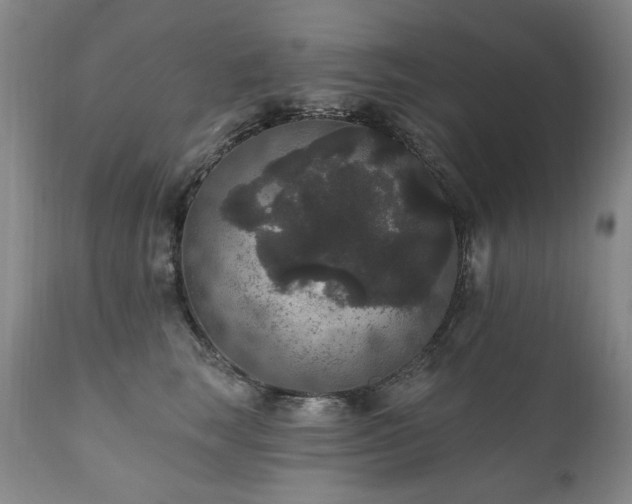 X0000111160663200906301401