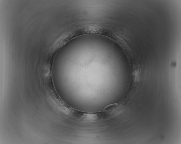 X0000111160665200906301402