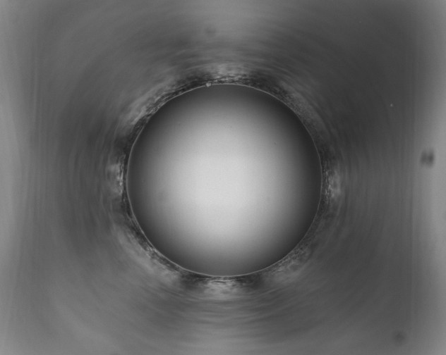 X0000111160666200906301402