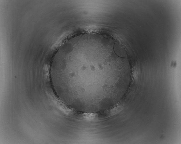 X0000111160667200906301402