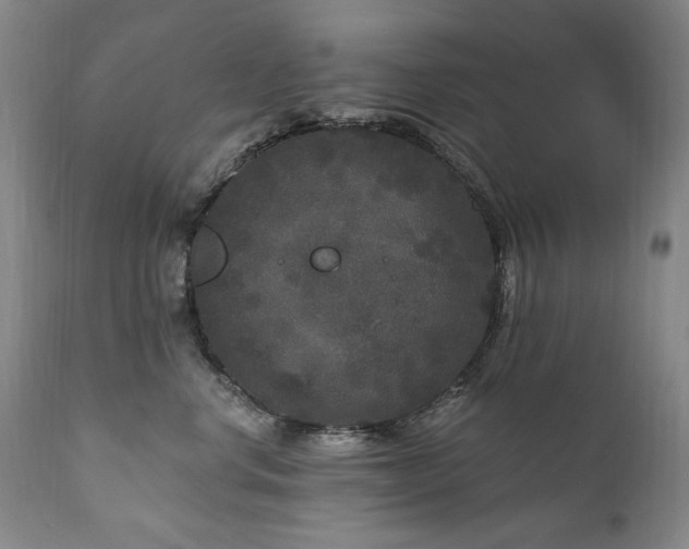 X0000111160668200906301402