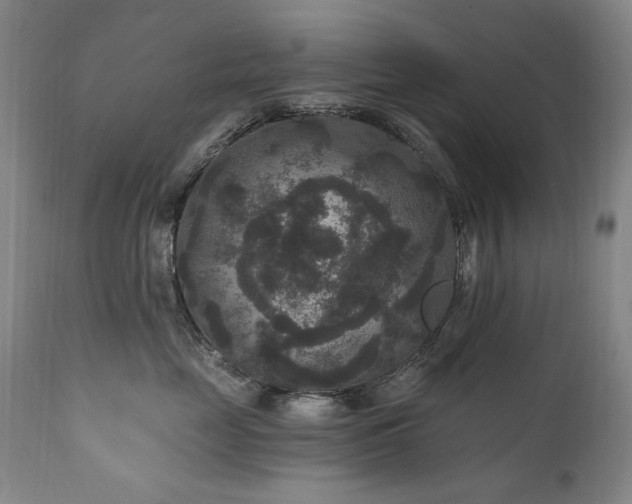 X0000111160669200906301402