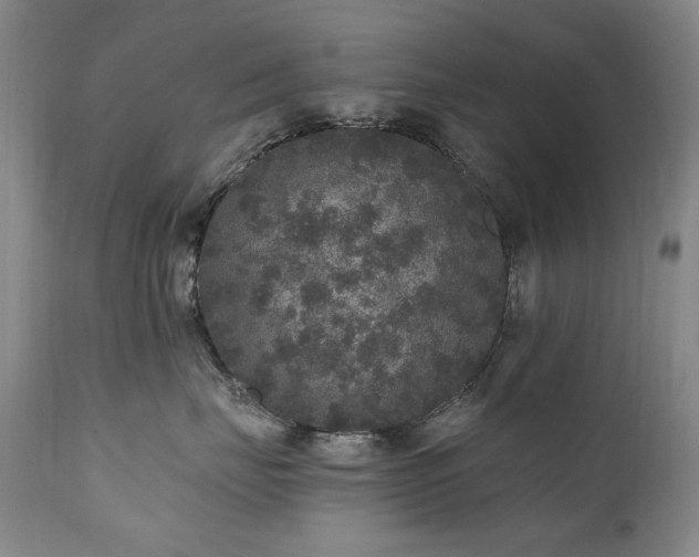 X0000111160671200906301402