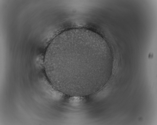 X0000111160672200906301402