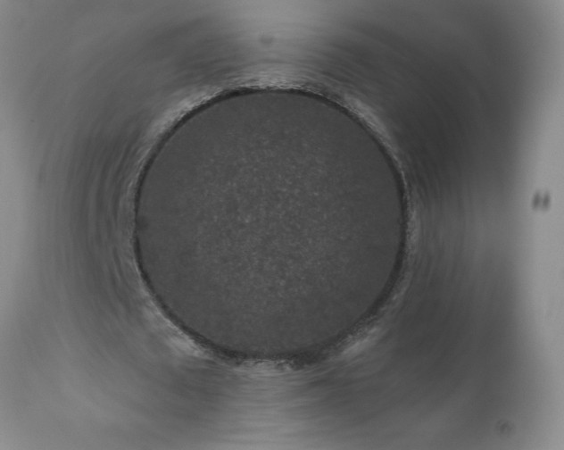 X0000111160673200906301401