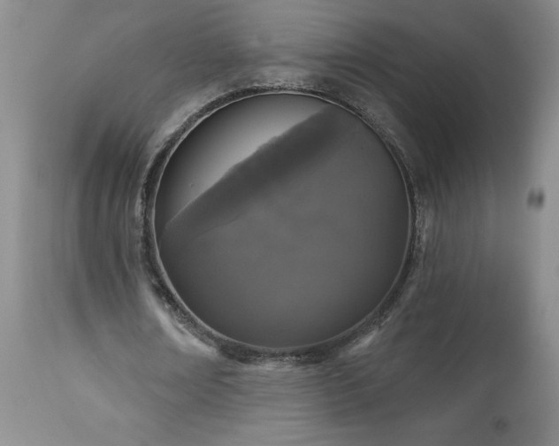 X0000111160674200906301401