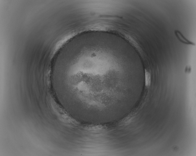 X0000111160675200906301401