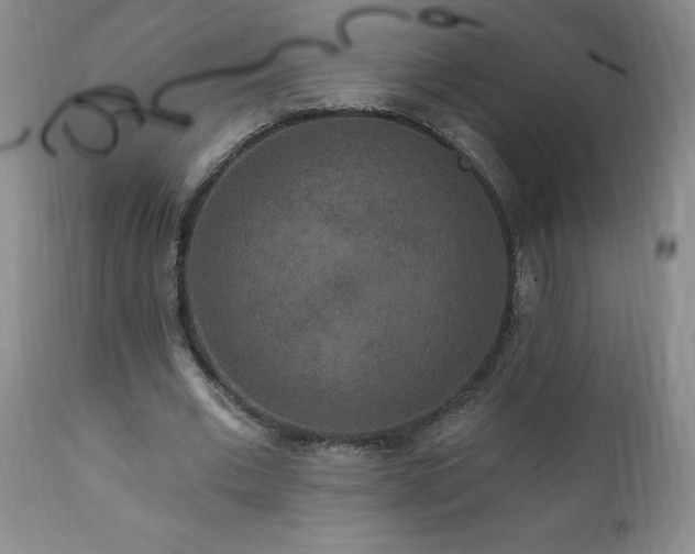 X0000111160677200906301401