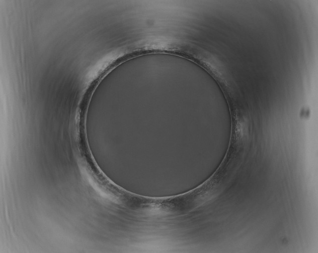 X0000111160678200906301401